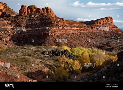 Hiking trail through Johnson Canyon, part of Snow Canyon State Park ...