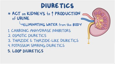 Loop diuretics: Video, Anatomy, Definition & Function | Osmosis