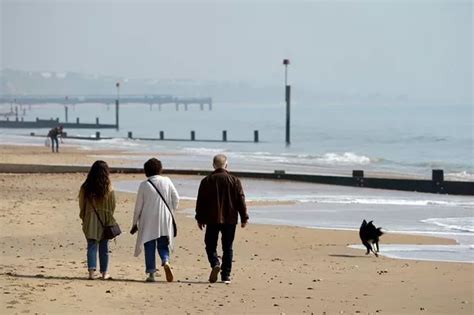 Dorset weather forecast: Bournemouth set to be hotter than Barcelona as ...