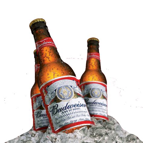 Budweiser Beer Png - PNG Image Collection