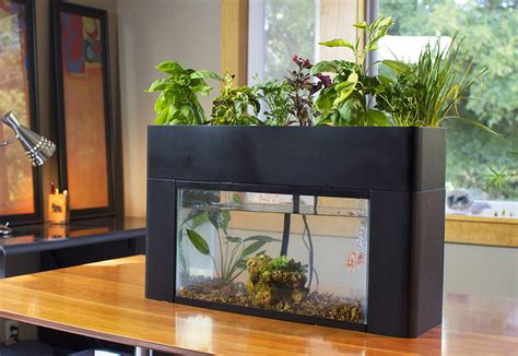 Home Aquaponics | The Aquaponic Source