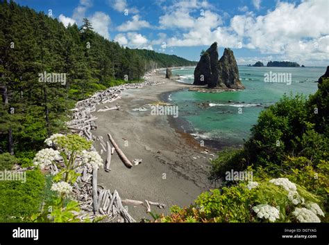 WASHINGTON - Rialto Beach south of Hole-in-the-Wall on the Pacific ...