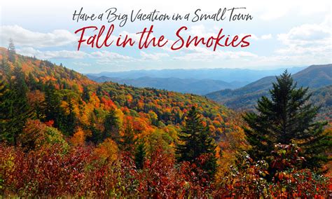 Fall Color Forecast for the Smoky Mountains near Bryson City NC