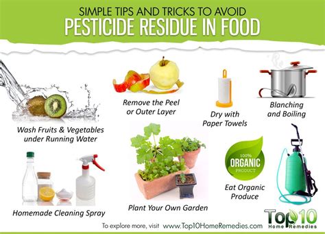 Simple Tips and Tricks to Avoid Pesticide Residue in Food | Top 10 Home ...