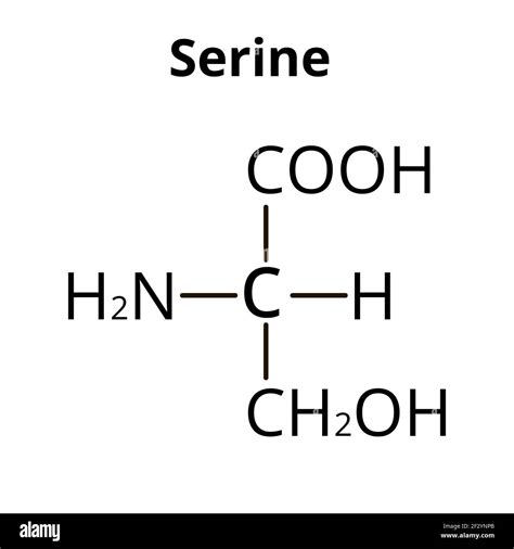 Serine Structure