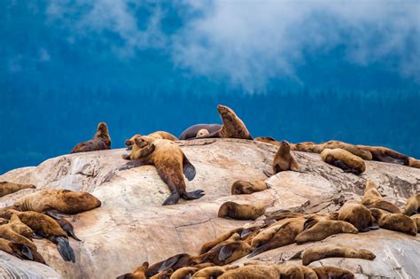 4 Ways Onto The Water In Glacier Bay National Park | HuffPost