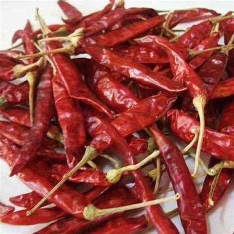 Dry Red Chilli at Rs 58/kilogram | Dry Red Chilli in Tiruchirappalli ...