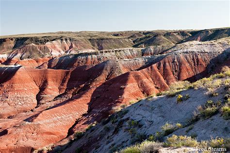 PETRIFIED FOREST NATIONAL PARK - PAINTED DESERT - LACEY POINT - STEARNS ...