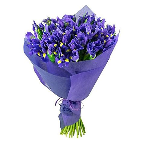 Alluring Blue Iris Bouquet italy | Gift Alluring Blue Iris Bouquet- FNP