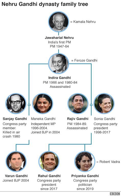 Rahul Gandhi: The rise of India's political scion - BBC News