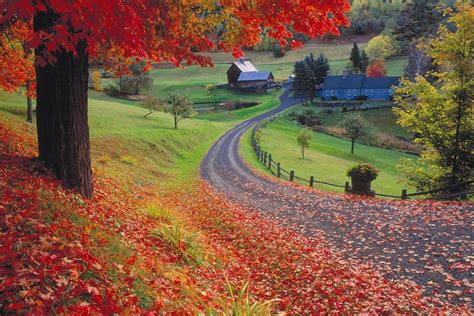 5 Favorite New England Fall Foliage Tours - New England Today