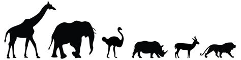 Jungle Animal Silhouette Svg - 109+ Best Free SVG File