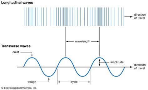 Diagram Of Transverse Wave