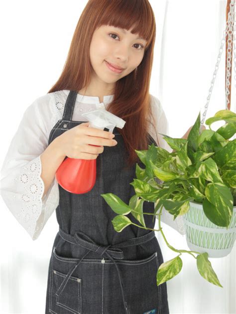 Benefits of Using Organic Pesticides in Plants! - Organicbazar Blog