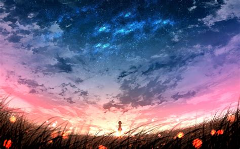 Anime Landscape, Sunset, Plants, Field, Sky, Anime - Red Sky Wallpaper ...