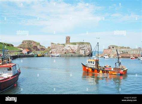 Dunbar castle ruins at entrance to Dunbar harbour with fishing boats ...