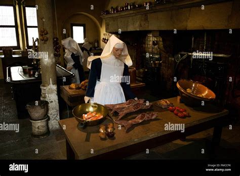 France, Cote d'Or, Beaune, the tourist route of the Grands Crus de ...