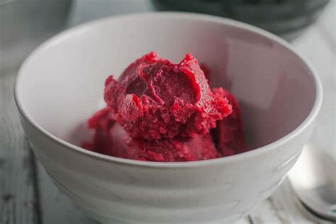 Cranberry Orange Sorbet » Blender Happy