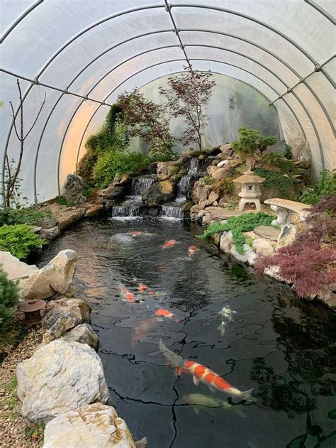 Shade Covers For Fish Ponds - Unique Fish Photo