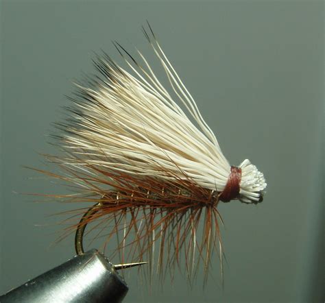 The Fly Guide: The Caddis Fly