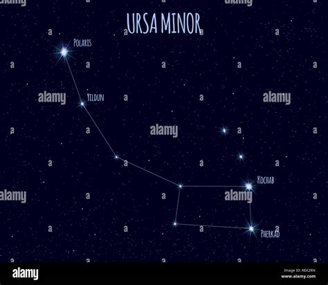 Ursa Minor (Little Bear, Little Dipper) constellation, vector ...