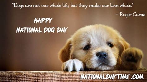 National Dog Day 2023: Best Cute & Loving Dog Day Captions for ...