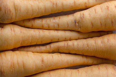 All About Parsnips - How to Pick, Prepare & Store | Healthy Family Project