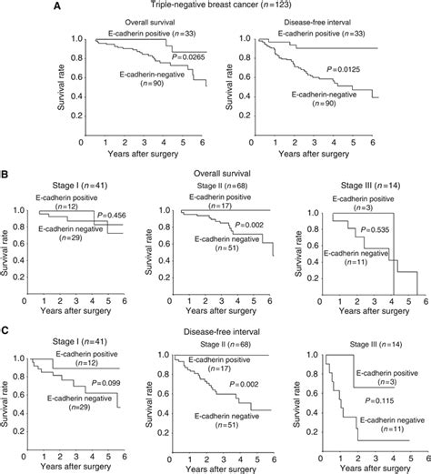 Survival of patients with triple-negative breast cancer. (A ...