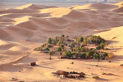 Oasis in Sahara desert stock image. Image of survival - 7682577