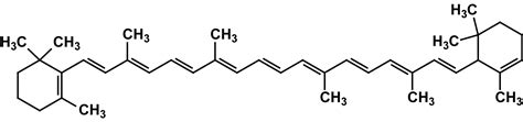 Beta-Carotene: Function & Sources | Online Homework Help | SchoolWorkHelper