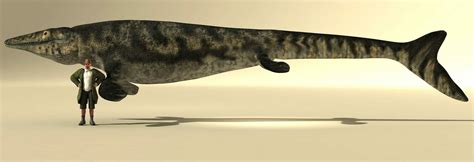 How Large Did Mosasaurs Get? - FossilEra.com