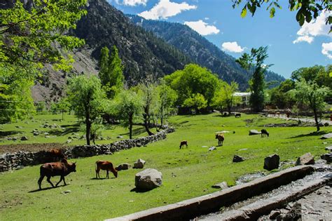 Colors of Kalash Valley - Chitral - KPK - Pakistan