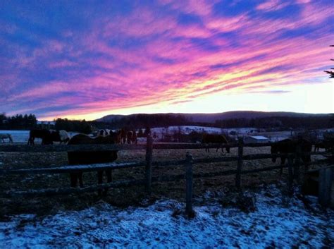 Tucker County, WV | West virginia, Appalachia, Beautiful mountains