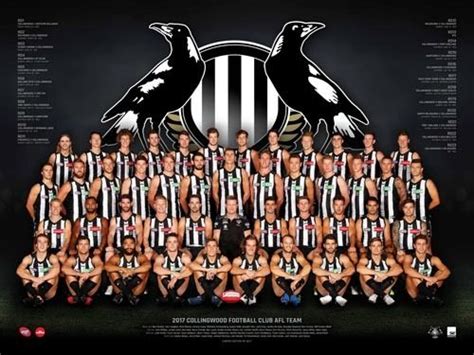 COLLINGWOOD PREMIERS 2023 MEMORABILIA & AFL Merchandise: AFL 2017 ...