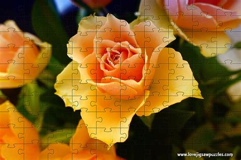 Online Jigsaw Puzzles | Funny and Cute Jigsaw Puzzles | Free Online Jigsaws