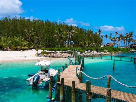 62 Things To Do In The Bahamas [Updated 2024] | SANDALS