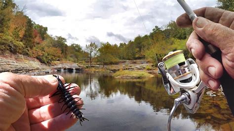 richard gene fishing machine latest - Carmine Underhill