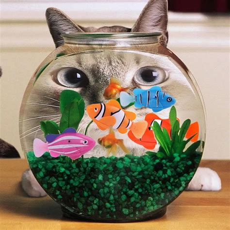 1PC Battery Powered Electronic Robotic Fish Swim Activated Fish Toy ...