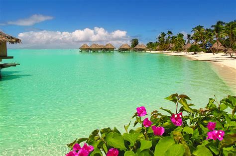 Download wallpaper for 1400x1050 resolution | Bora Bora Beach Water ...