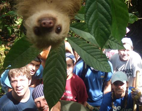 10+ Of The Funniest Animal Photobombs Ever | Bored Panda