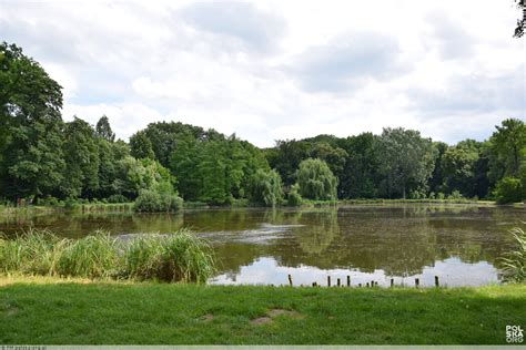 Arboretum Kórnickie, Kórnik - zdjęcia