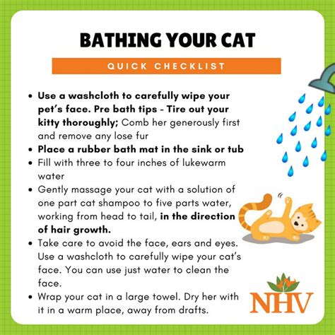 How to bathe your cat and why to bathe your cat? Here are some handy ...