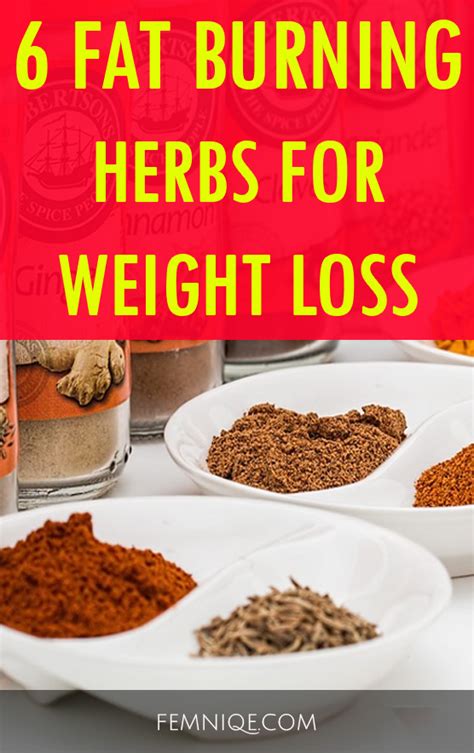 6 Fat Burning Natural Herbs For Weight Loss - Femniqe