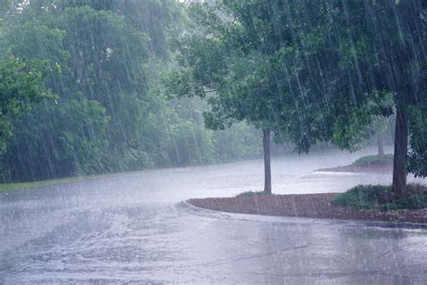 Heavy rainfall expected in several districts of Odisha in next 24 hours ...