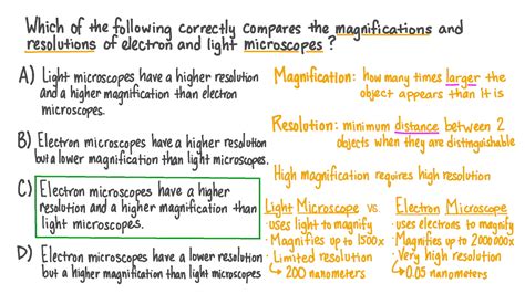 Similarities Between Light Microscope And Electron Microscopes ...