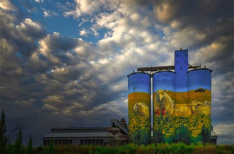 Merriwa Silo Art