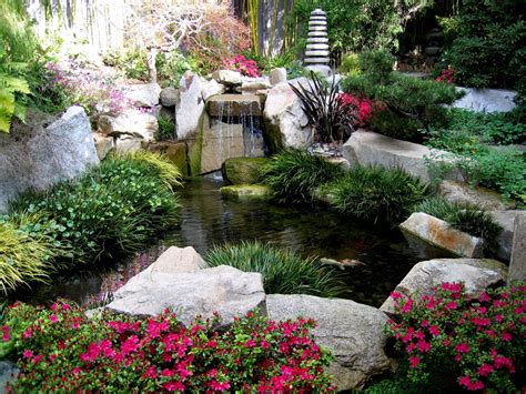 Koi pond and waterfall | Japanese garden, Koi pond, Backyard water feature