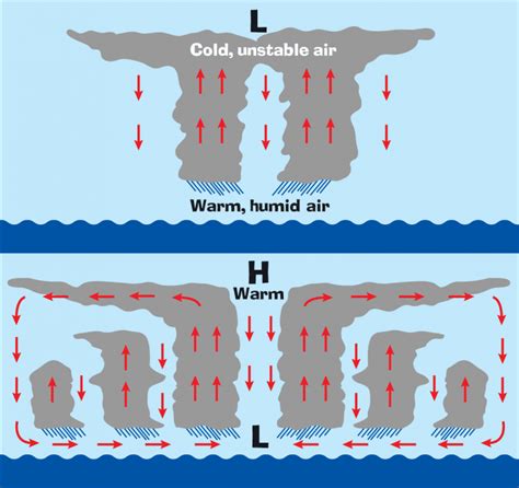 Hurricane formation | NCpedia