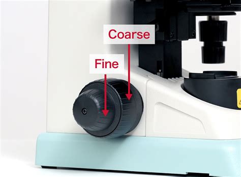 Parts of a Microscope with Their Functions – Microbe Online