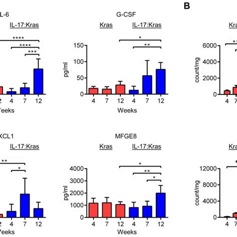 IL-17 modulates the lung cytokine and immune cell profiles A) Cytokine ...